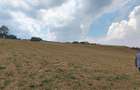 2 Parcele de teren extravilan zona Bradet Pret 3000eur/ar neg usor - 7
