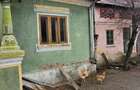 Casa + teren in comuna Prundeni, sat Zavideni, jud Valcea - 6