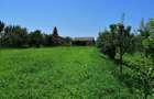 Vila de vacanta sau gospodarie pentru agricultura bio la 40 km de Bucuresti - 4