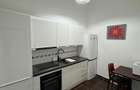 Birou / Apartament Generos Ultracentral Oradea - 18