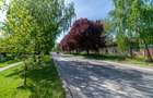 Casă Individuală D+P+1E, 4 camere, 502 mp teren (Calea Urseni) - 32