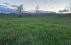 Teren extravilan (2025 PUZ intravilan) 2500 mp parcelabil, Hlincea- Juvat, 35euro mp, drum asfaltat - 1