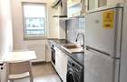 Apartament inchiriat 2 camere Buna Ziua - Sophia Residence, parcare inclusa - 2