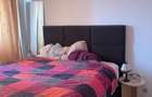 Apartament semidecomandat în Iancului - 5