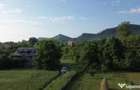 Teren 10304 mp cu casa locuibila! In Bucovina, Zona M... - 12
