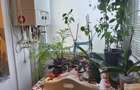 Apartament cu 2 camere decomandat în Girocului - 6