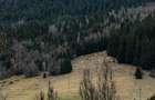 Teren intravilan 6.260 mp Vidra Alba langa Arie? | utilita?i | se poate impar?i - 3