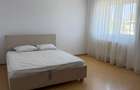 Apartament 2 camere de inchiriat Sector 3, zona Nicolae Grigorescu 550 Euro/luna - 4