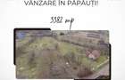 Teren intravilan de vanzare in Papau?i! - 5