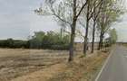 Teren de vanzate-intravilan -Balotesti-151.021 mp - 1