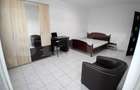 Apartament cu 2 camere decomandat în Podul de Fier - 4