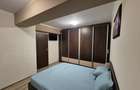 Apartament cu 2 camere semidecomandat în Calea Severinului - 6