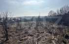 Teren IV 5.358 mp, front 30 ml, toate utilitatile, Teisani Gherces - 3