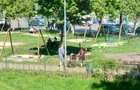 Camera 12 mp- Tractorul- langa Lidl - 6