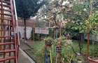 O casa cu suflet, gradina roditoare ?i spa?ii pline de lumina - 4