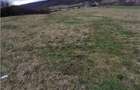 RECO Teren intravilan dublu front stradal- Betfia - 1