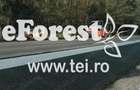 eForest teren rezidential in zona de padure, deschidere spre padure - 1