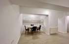 Apartament /spatiu comercial 2 camere demisol Ferdinand - 7