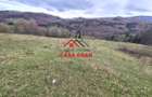 Teren extravilan Valea Doftanei 20.500 mp 6e mp - 14