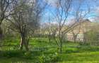 Casa de vanzare 107 mp + teren 1800 mp valea plopilor - 6