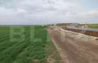 Teren extravilan de vanzare, 11630 mp, langa Dex si statia d - 1