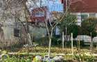 Casa in zona linistita si retrasa - 4