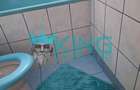 Apartament cu 2 camere semidecomandat în Pieptănari - 5