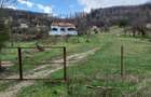 Casa + 9800 mp teren, Cotmeana -Arges, zona verde, potential turistic - 8