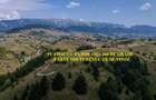 Teren Construcții intravilan de 150000 mp, în Șirnea - 9