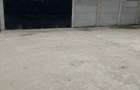 Sat Tichilesti jud, Braila - 7
