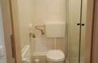 Apartament cu 2 camere decomandat în Ultracentral - 5
