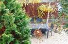 Apartament cu 7 camere decomandat în Bucium - 18