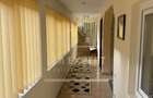 VILA 5 CAMERE, TEREN 600 MP, RUCAR - 6