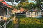 Casă cu 3 camere în Slobozia (Bara) - 3
