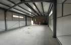Spatiu comercial Teliu - 1