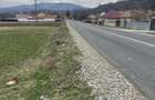 Teren de 3145 mp, în Mănăstirea Cașin - 2