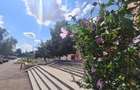 Apartament cu 3 camere decomandat în Răcădău - 2