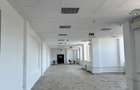 Spațiu comercial, de 350 mp, în Pantelimon - 1