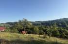 Vand teren in sat Sardu - 7
