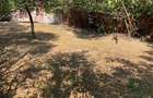 Casă cu 5 camere în Fratelia - 7 Casă cu 5 camere în Fratelia - 7