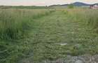 Teren intravilan 500 mp Sanpetru, Brasov - zona de case, CF, drum de acces - 7