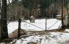 Neamt - Borca, teren 3386mp, langa padure - 4