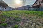 Teren intravilan de vanzare - 3