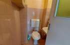 Apartament cu 4 camere decomandat în Dâmbu Pietros - 17
