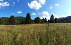 Teren Intravilan | Schitu Tarcau | 2089MP | Izvor | Platou - 5