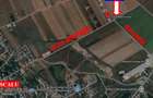 Teren extravilan Dascalu, 10.000 mp - 2