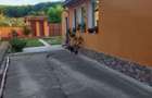 Vand casa Ioanis jud. Bihor, com Finis - 3
