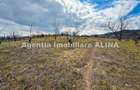 Teren în Călugareni - 5