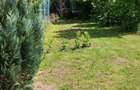 Gradina premium 1000 mp-Tocile de Sus, SADU - 4