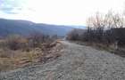 Teren extravilan de vanzare 500 mp Talmaciu, zona apropiata de - 3